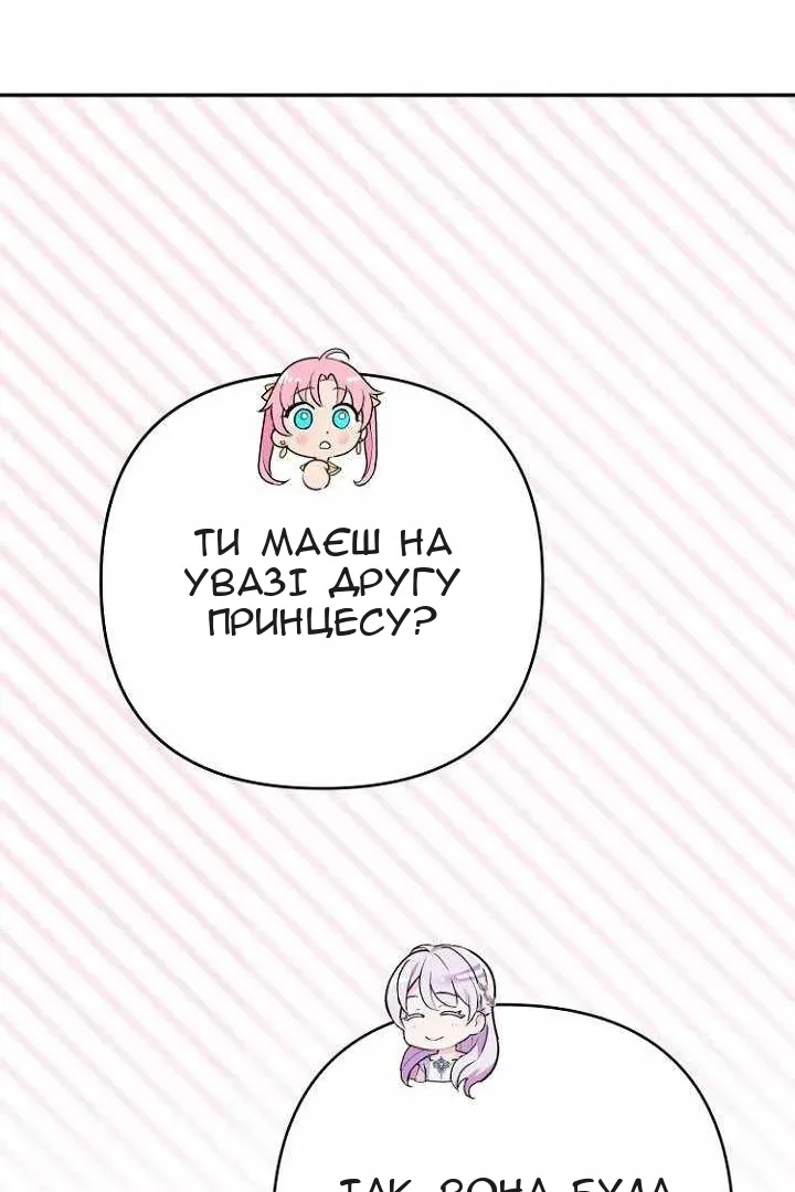 Сторінка 17