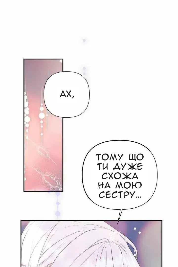 Сторінка 43