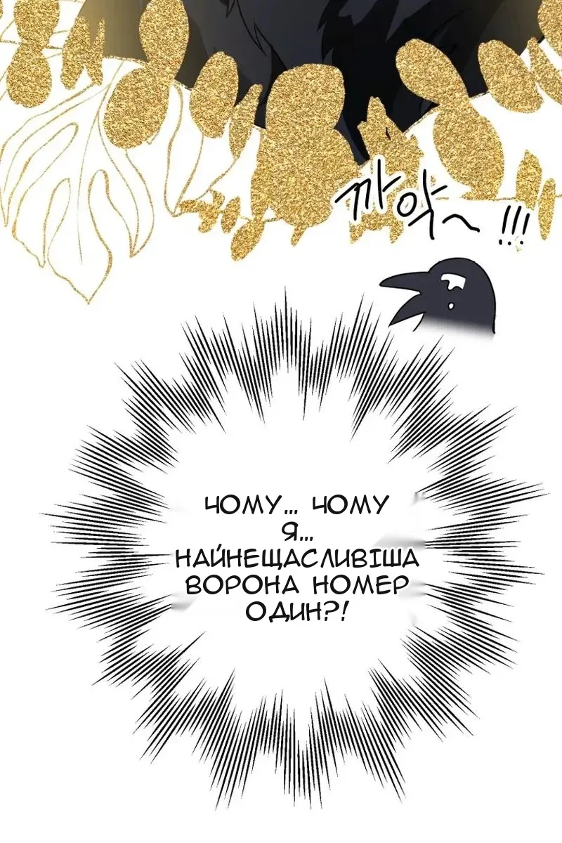 Сторінка 47