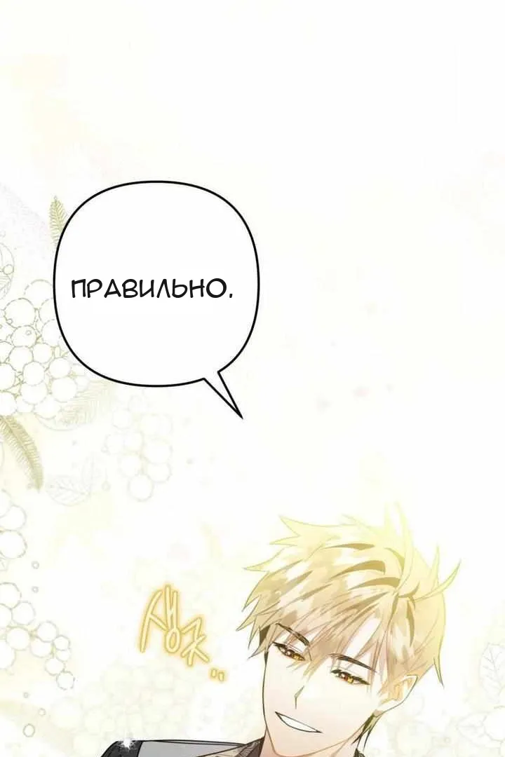Сторінка 28