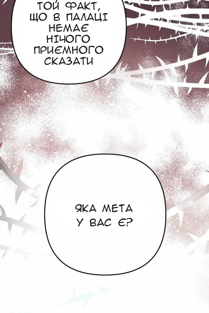 Сторінка 39