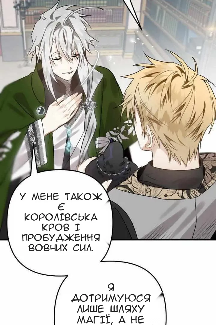 Сторінка 73