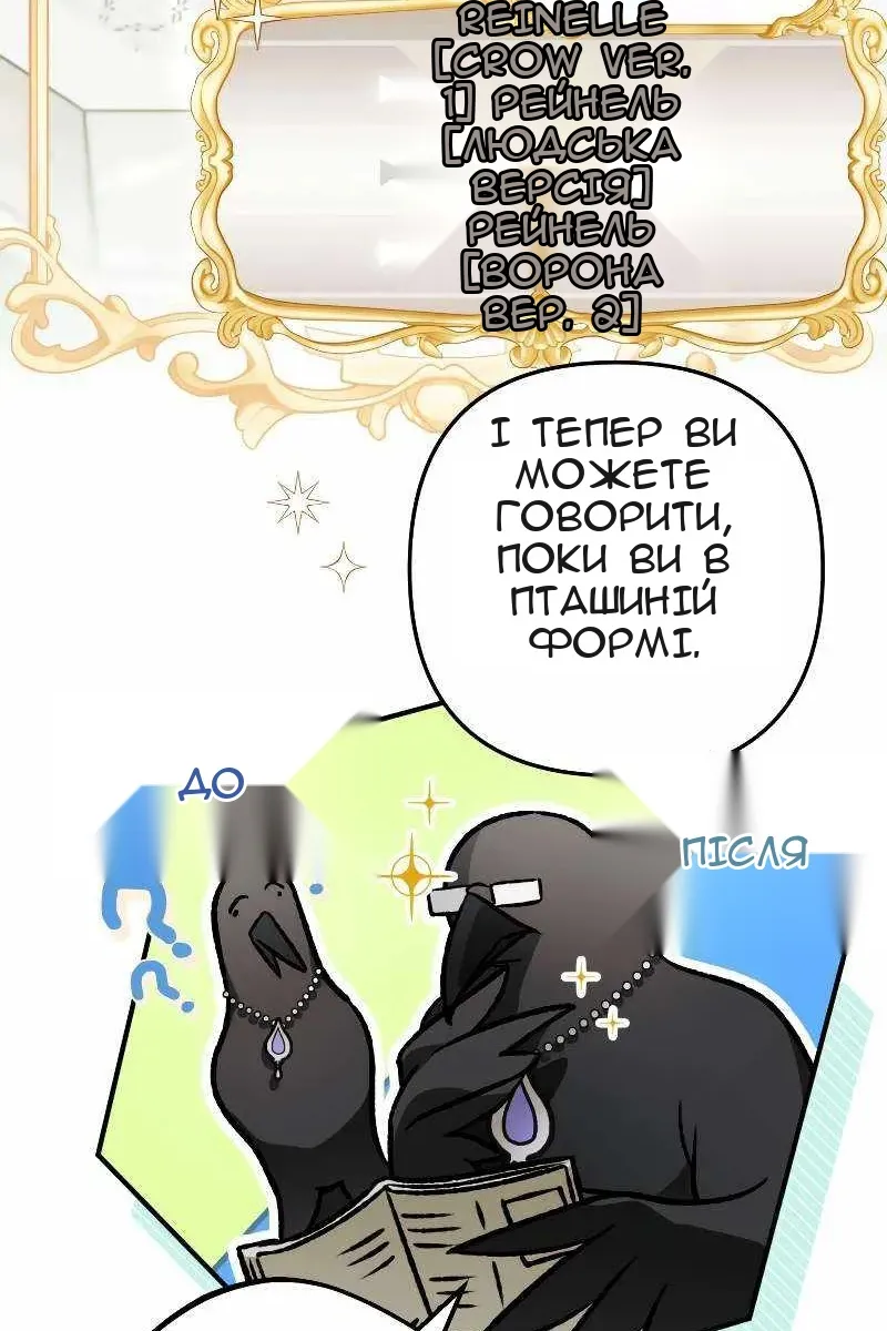 Сторінка 16