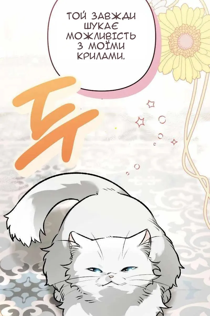 Сторінка 31
