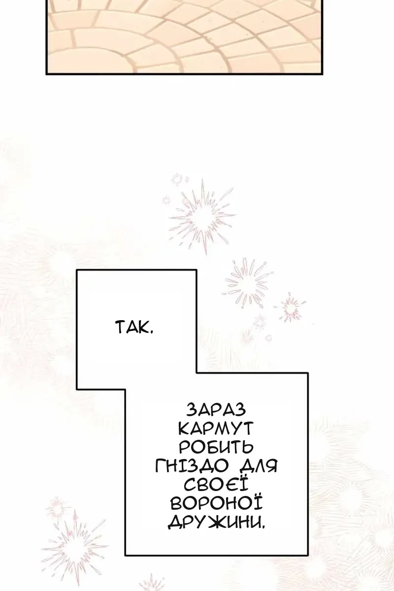 Сторінка 101