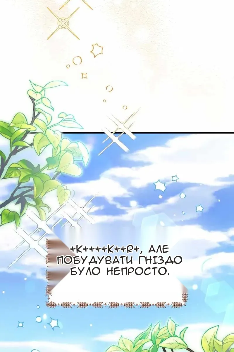 Сторінка 13