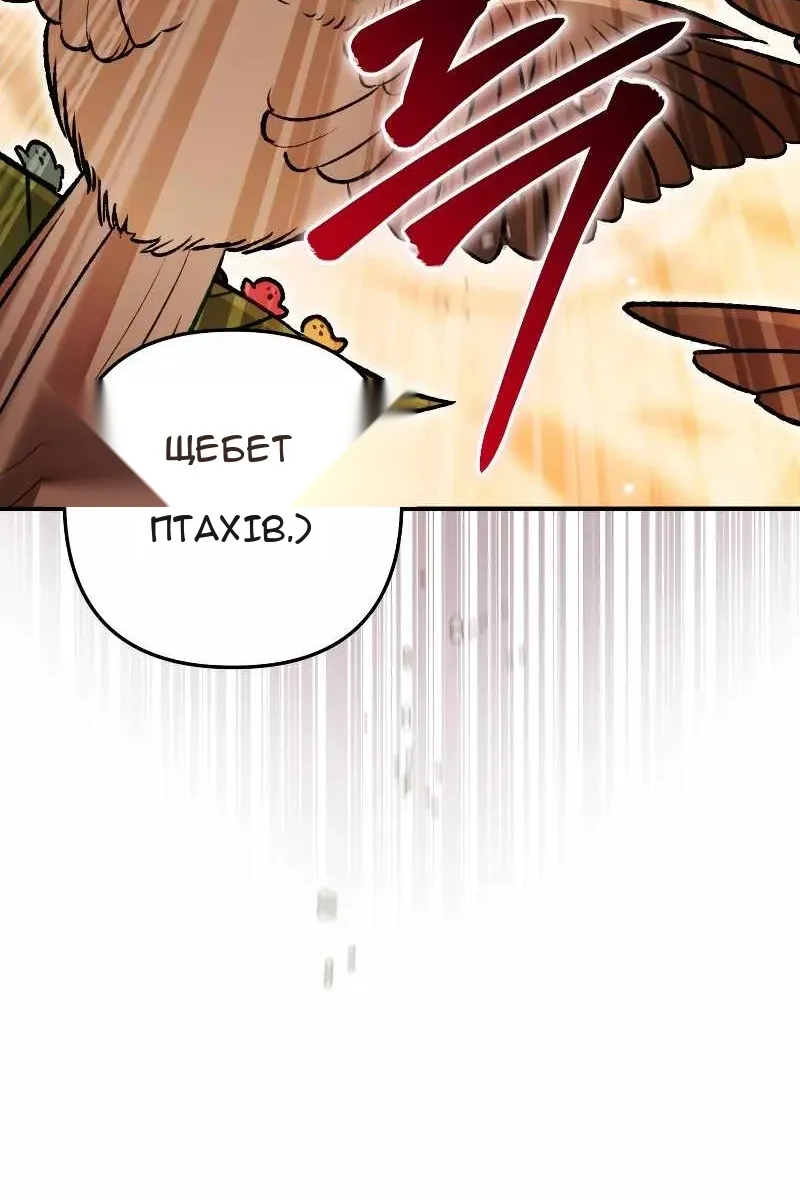 Сторінка 17