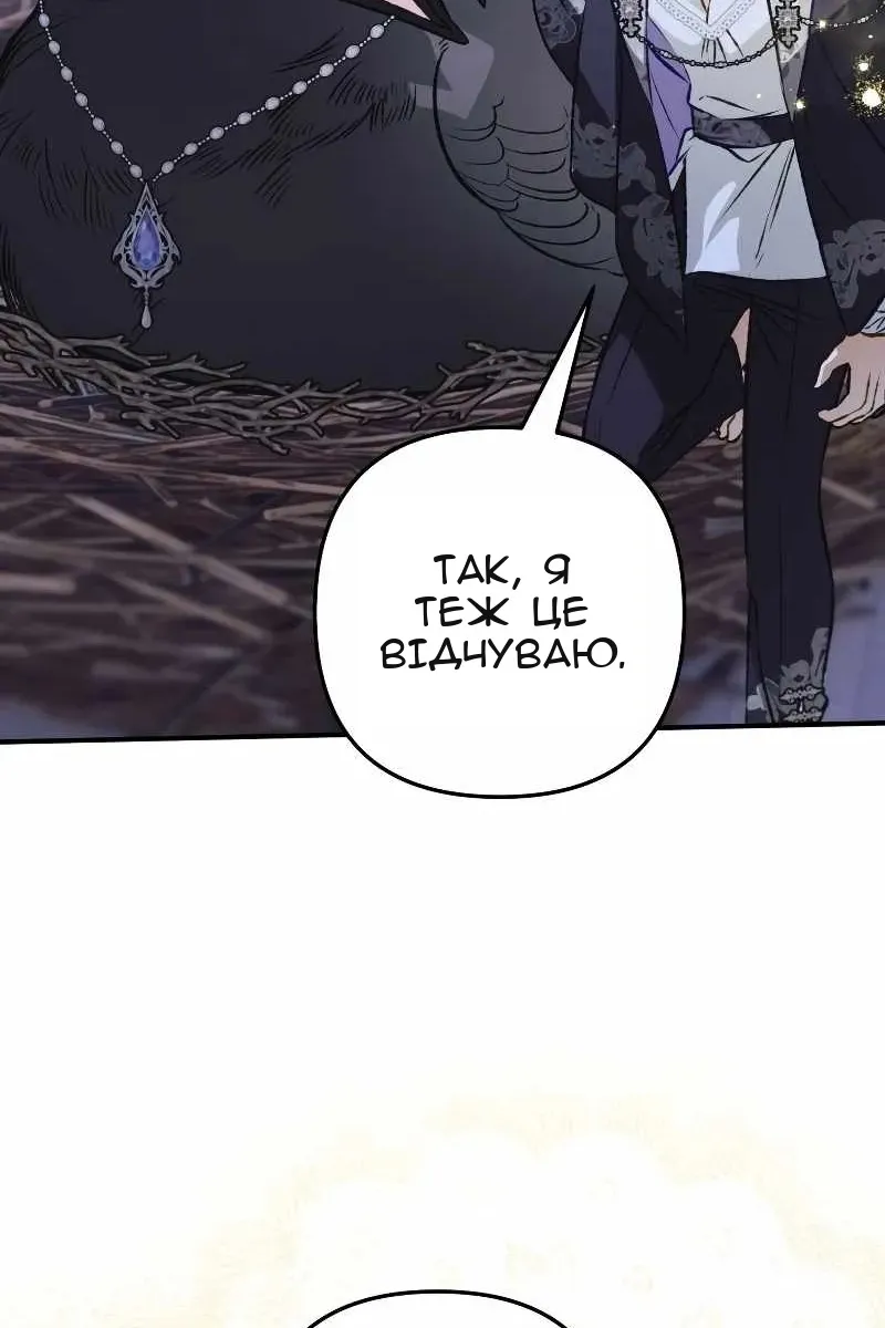 Сторінка 101