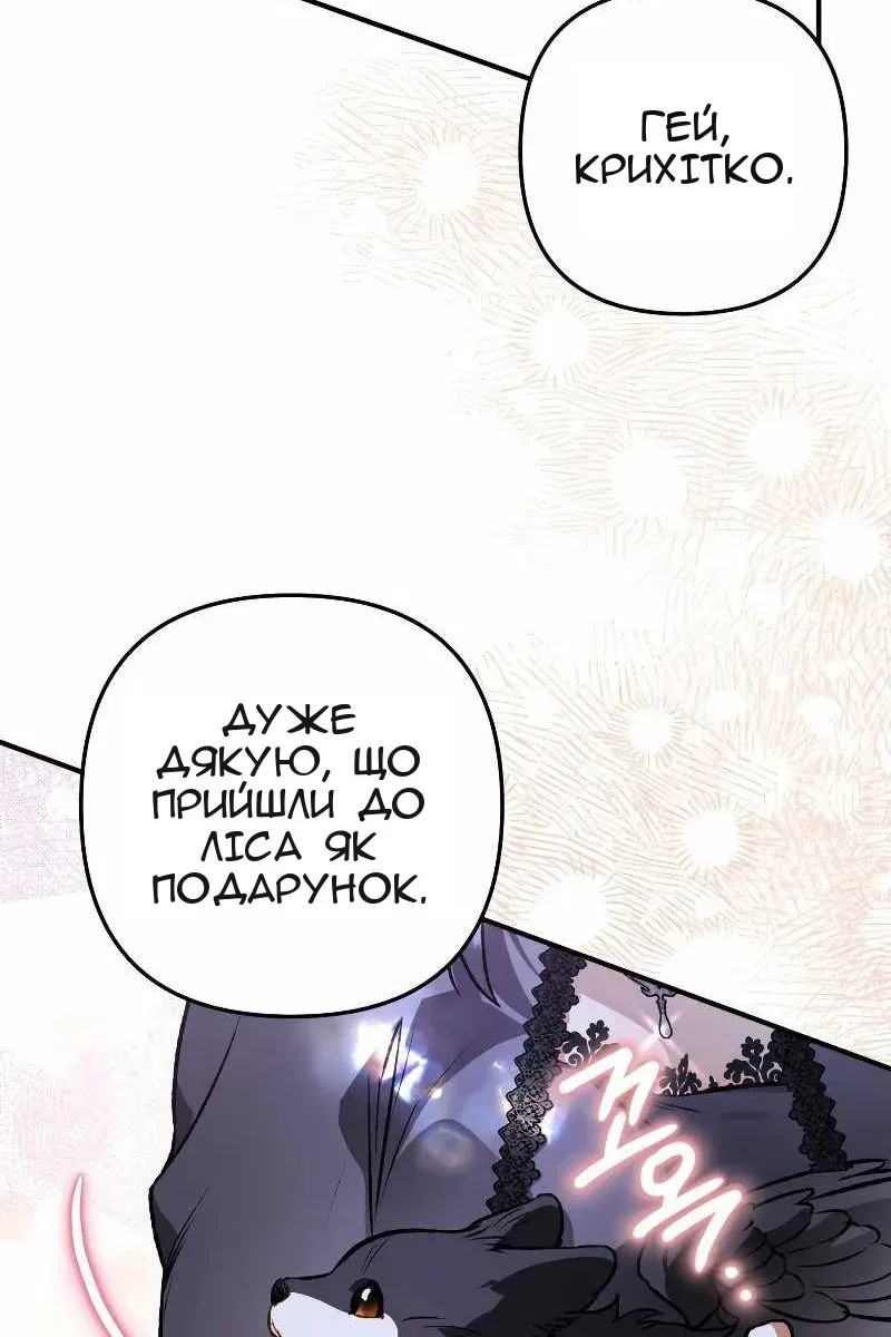Сторінка 21