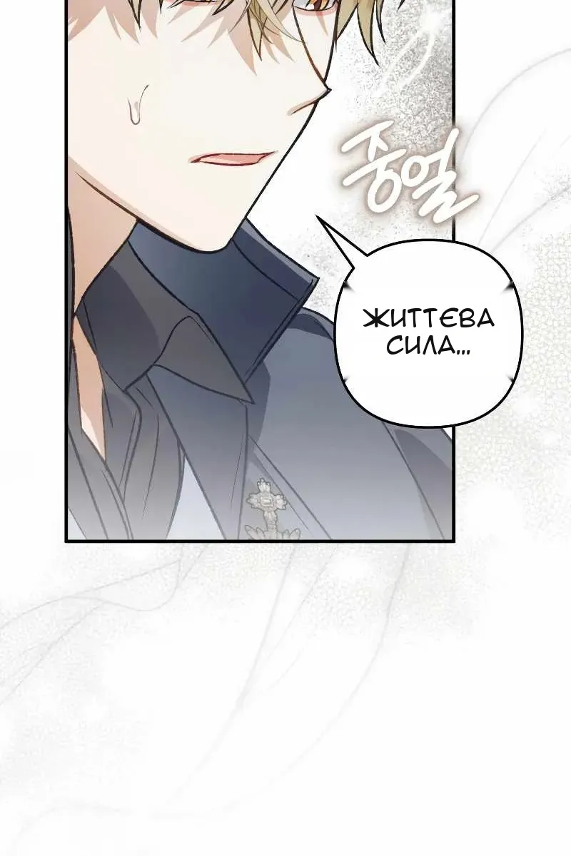 Сторінка 29