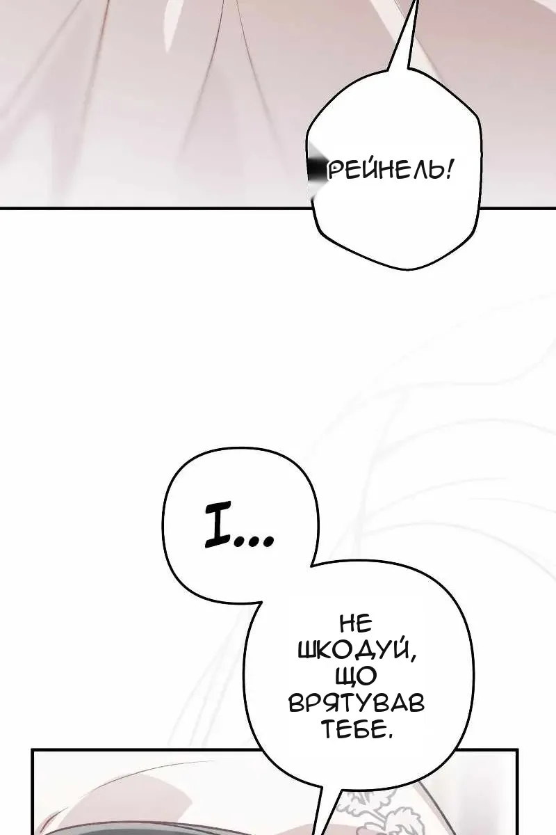Сторінка 41