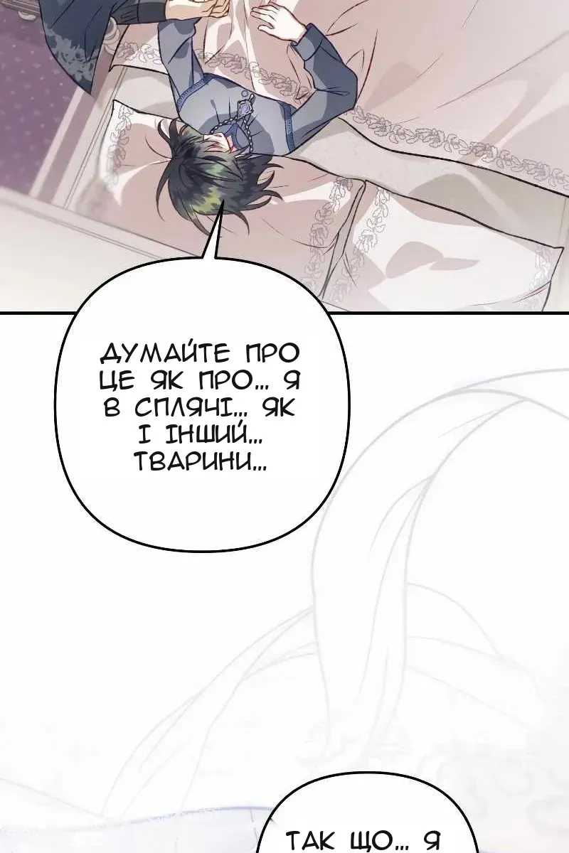 Сторінка 47