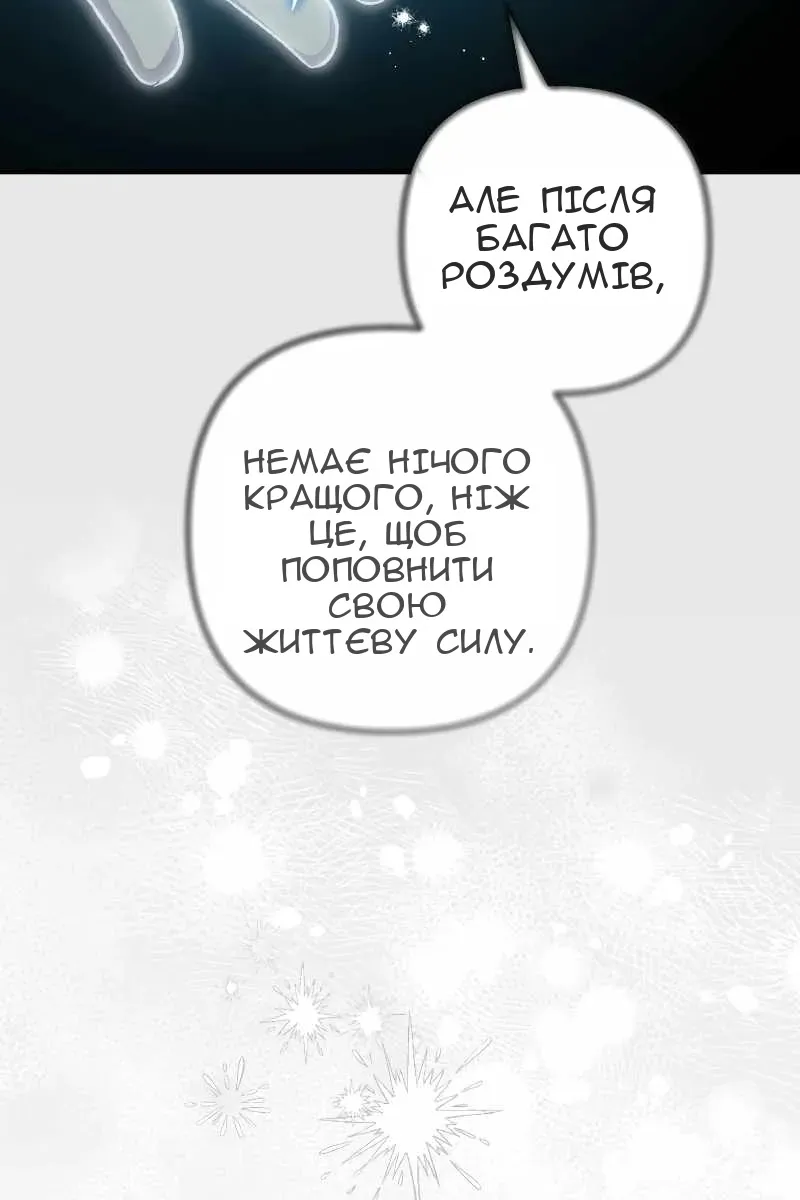 Сторінка 31