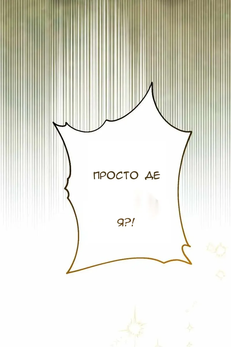 Сторінка 206