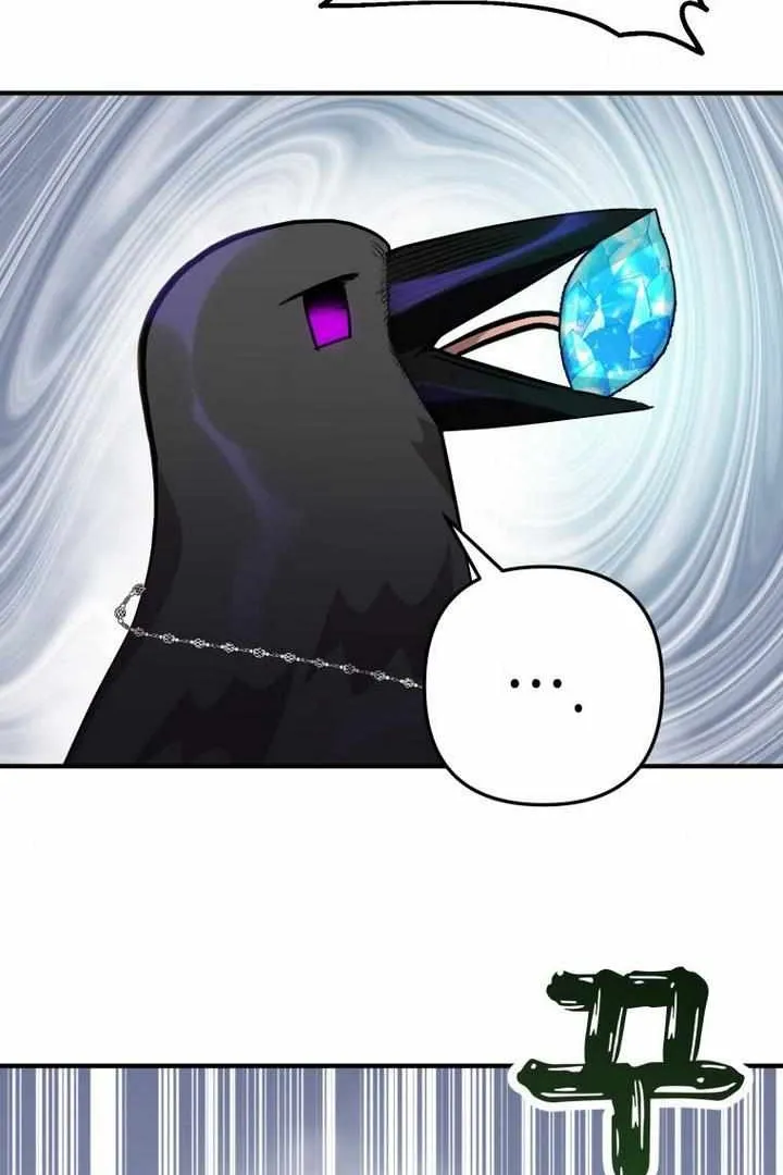 Сторінка 5