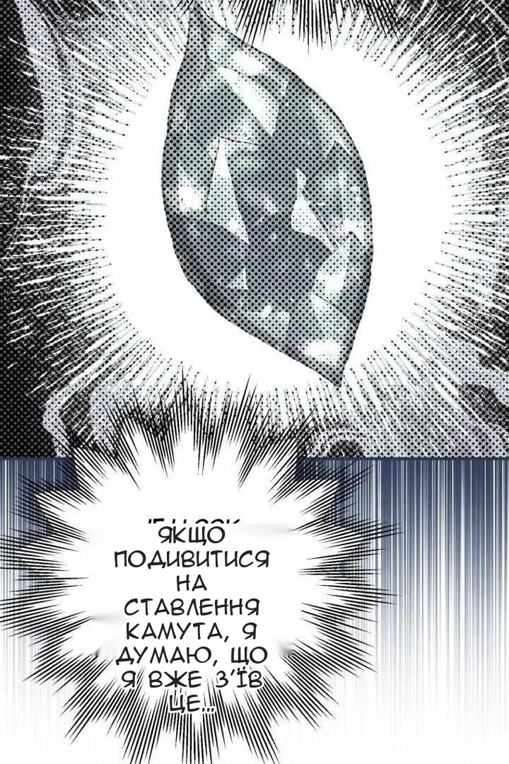 Сторінка 26