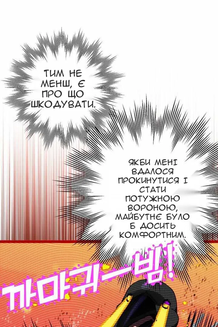 Сторінка 29