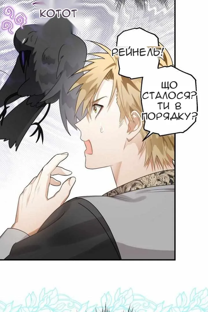 Сторінка 36
