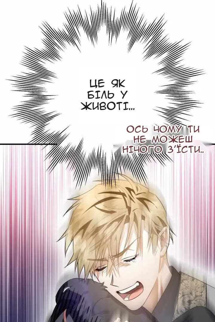Сторінка 40