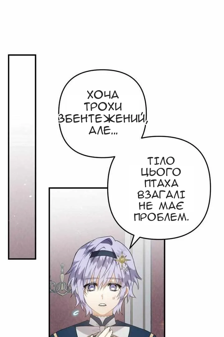 Сторінка 42