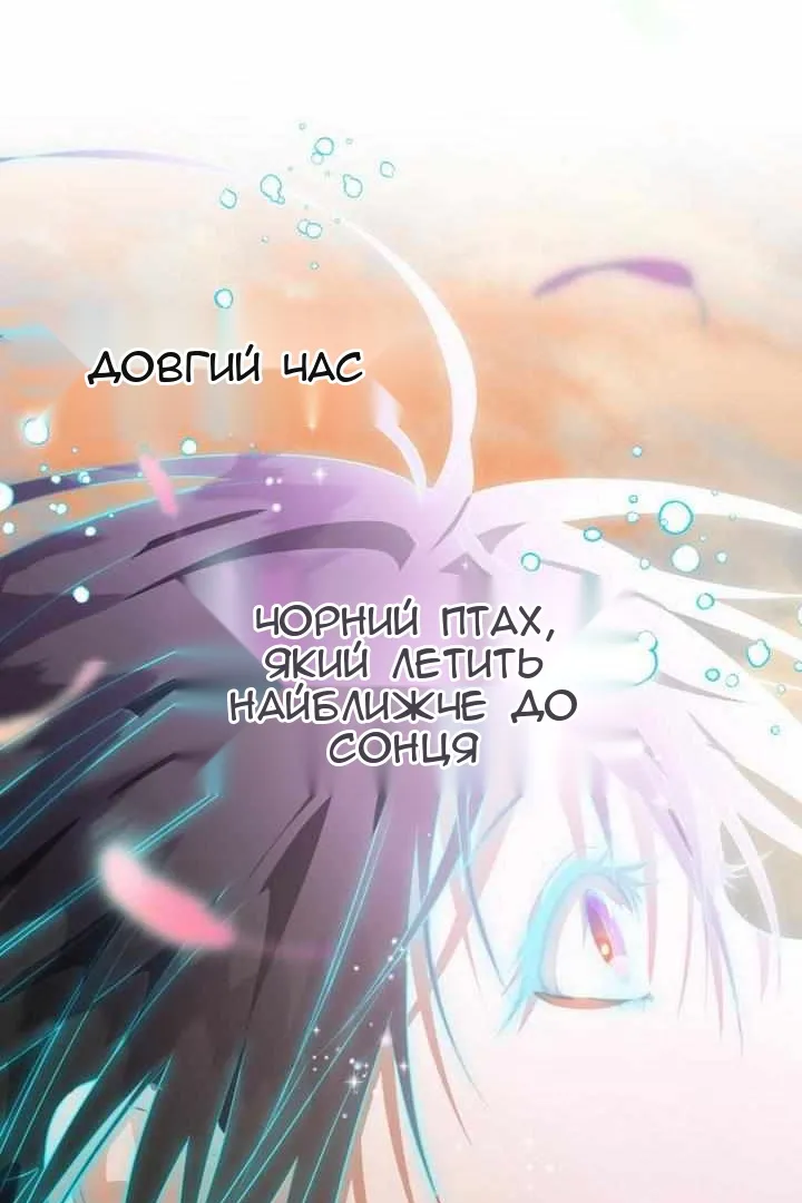 Сторінка 81