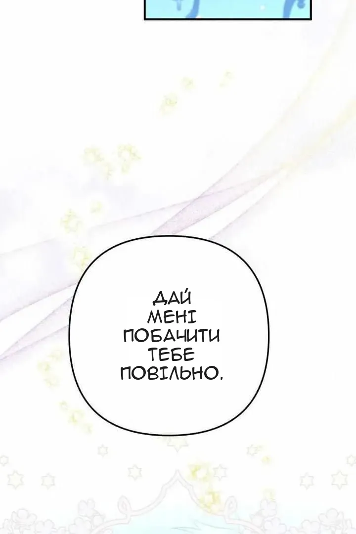 Сторінка 31