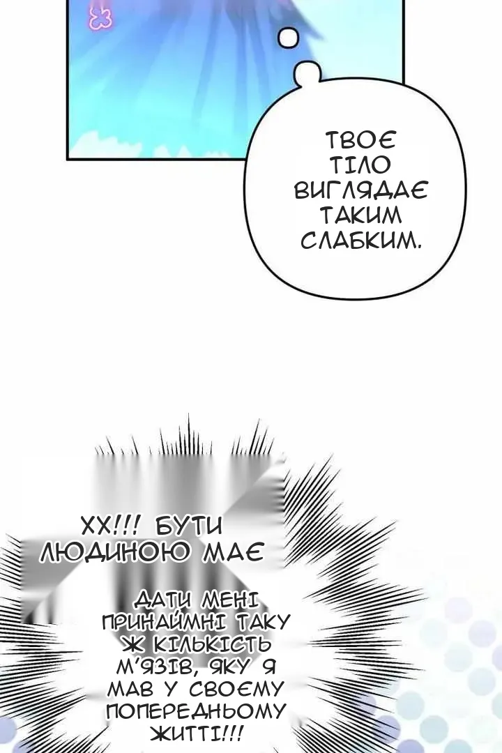 Сторінка 41