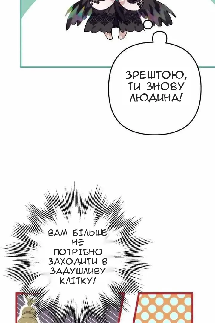 Сторінка 45