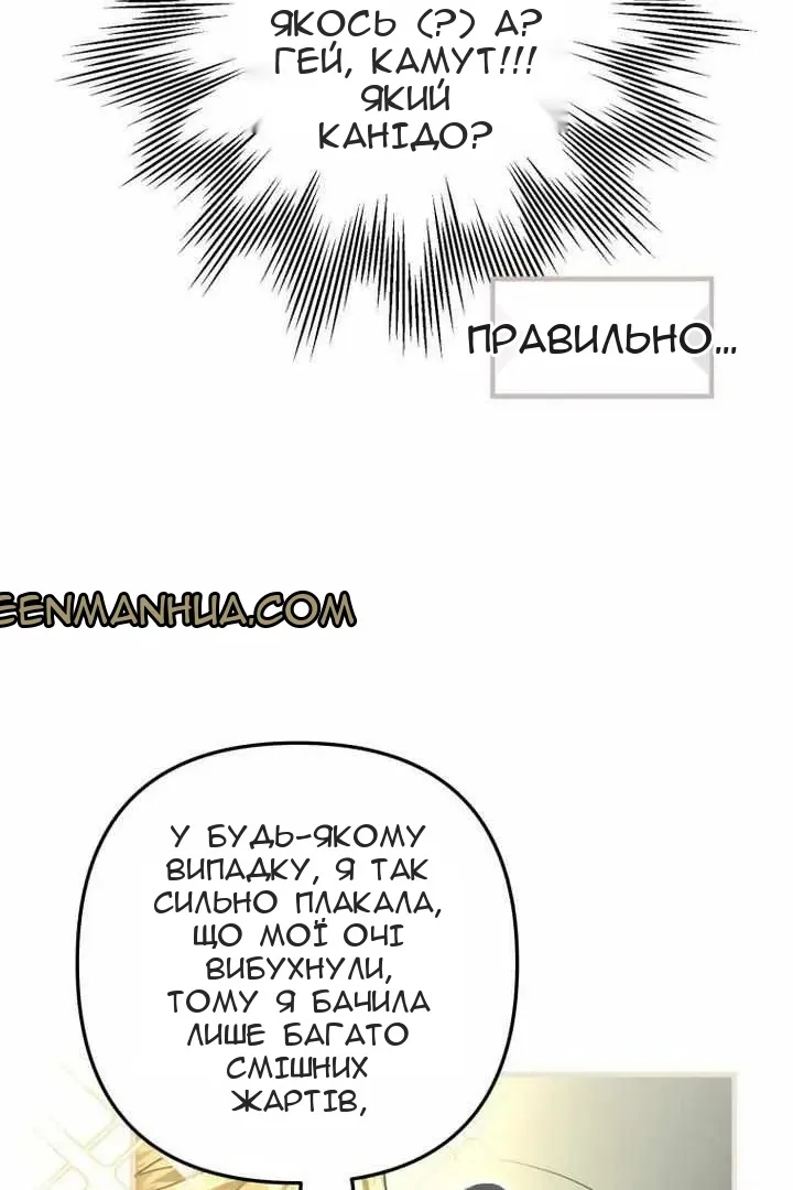 Сторінка 90