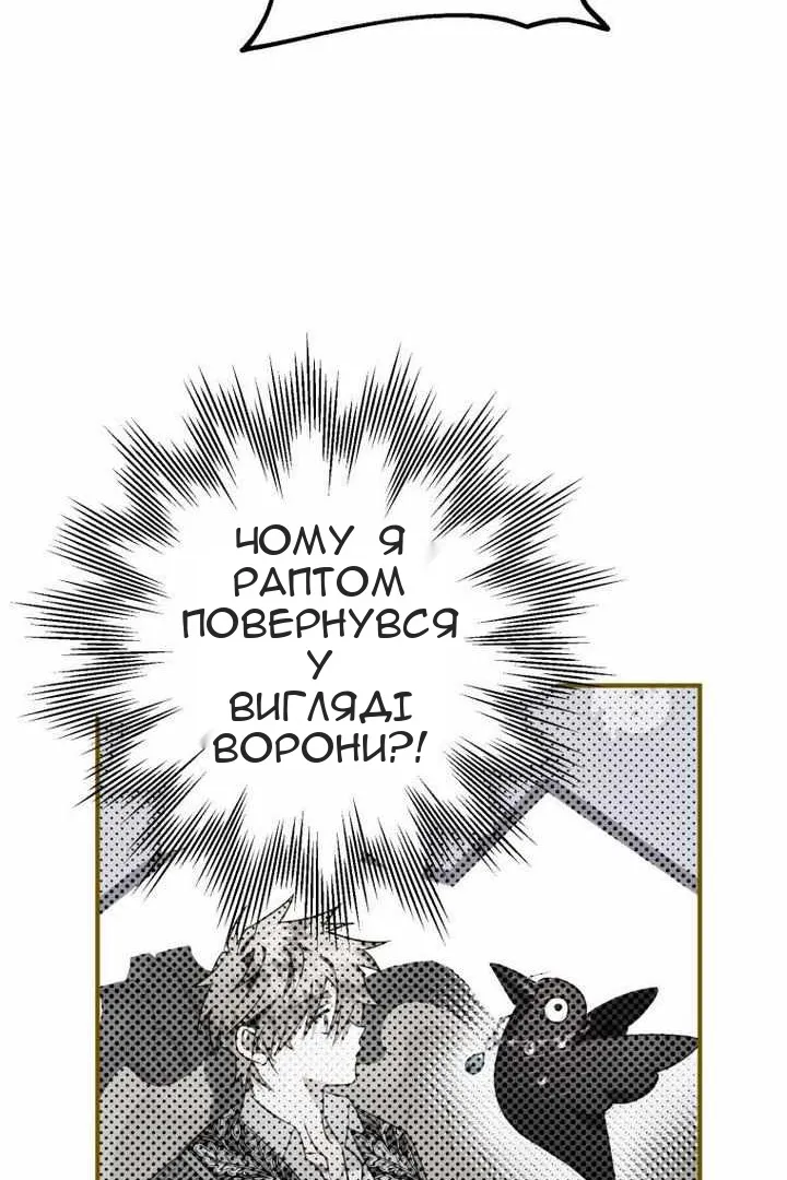 Сторінка 3