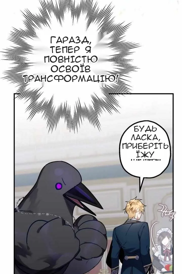 Сторінка 47