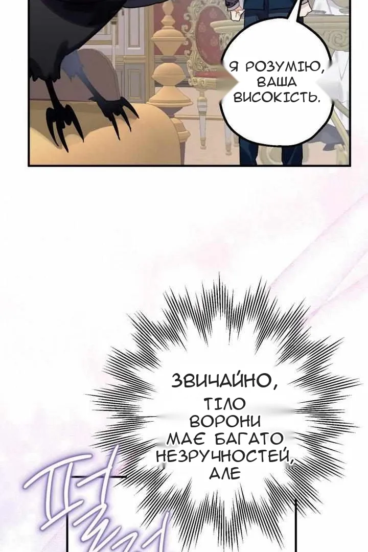 Сторінка 48