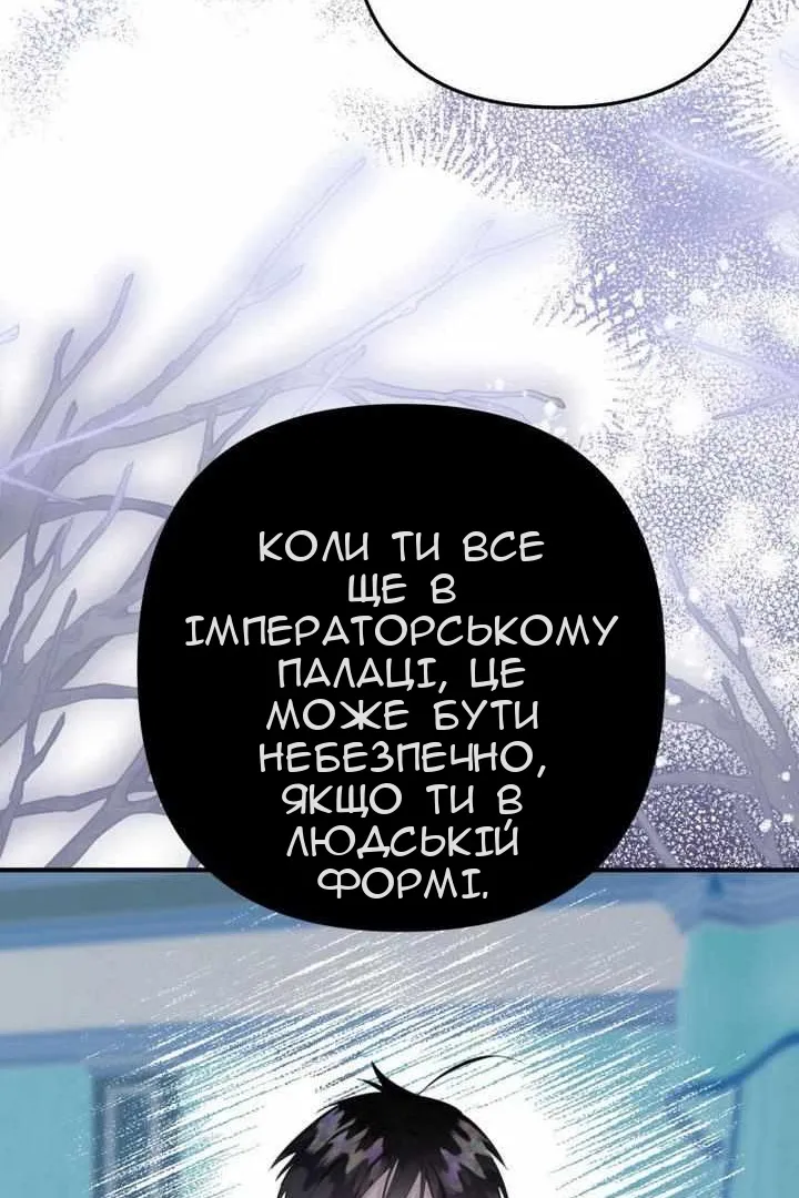 Сторінка 71