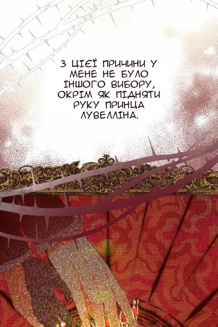 Сторінка 26