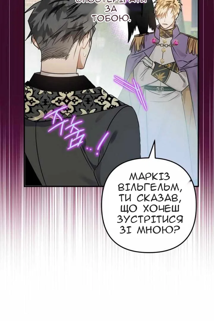 Сторінка 47