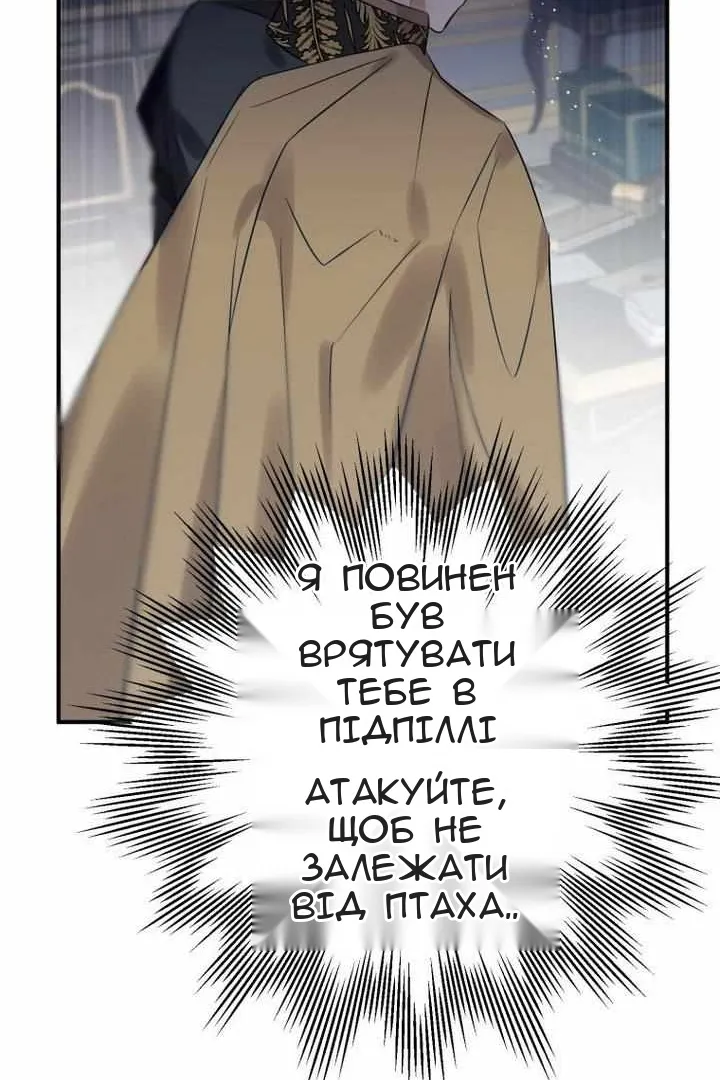 Сторінка 29
