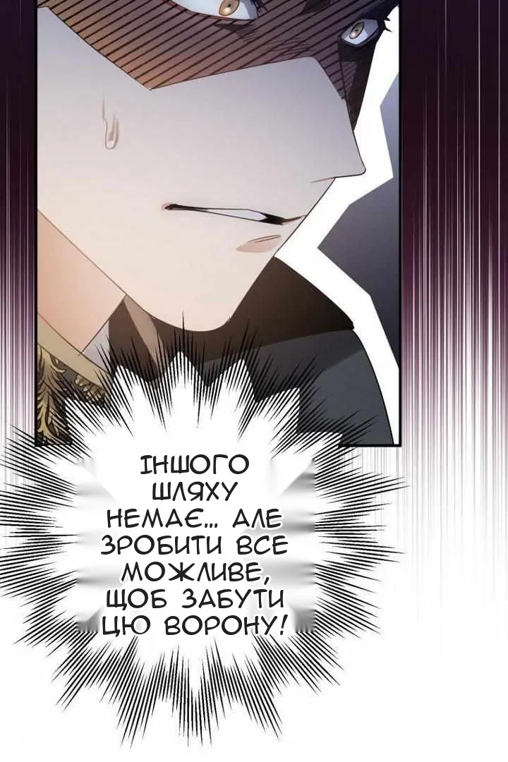 Сторінка 31