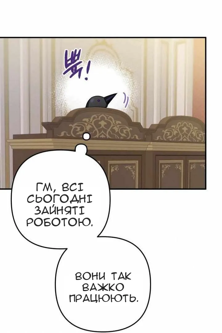 Сторінка 40