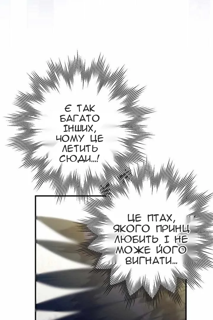 Сторінка 71