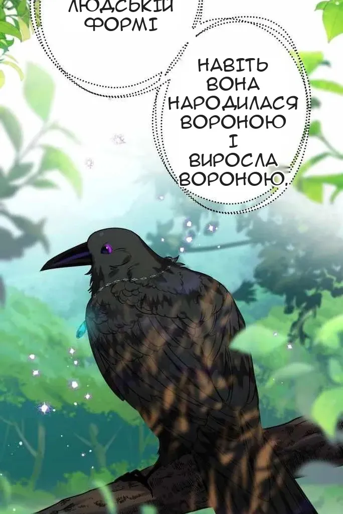 Сторінка 8