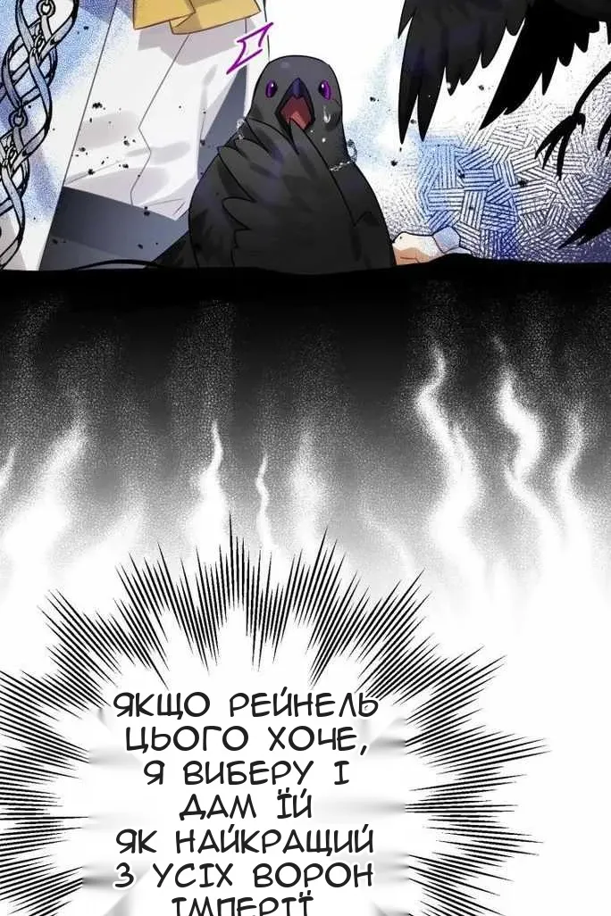 Сторінка 13