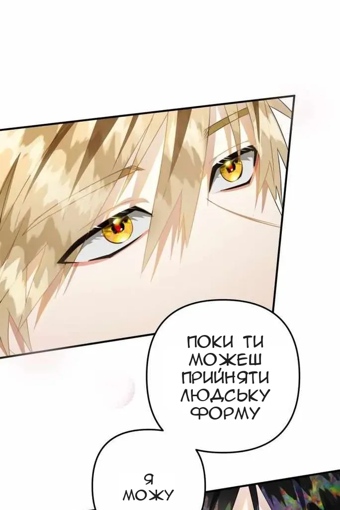 Сторінка 20