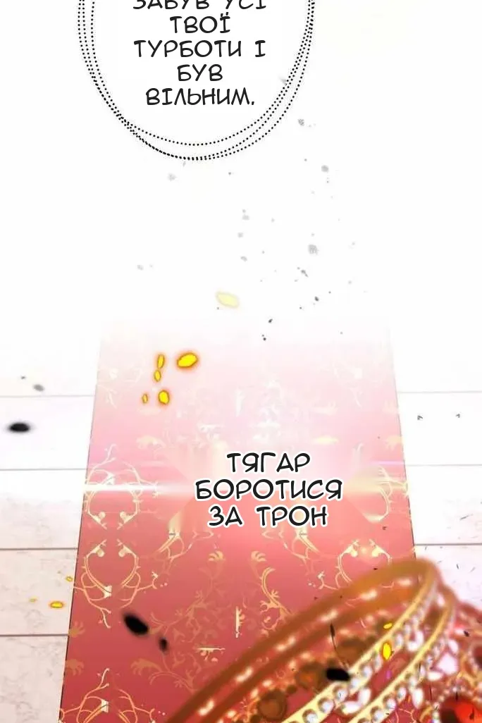 Сторінка 41