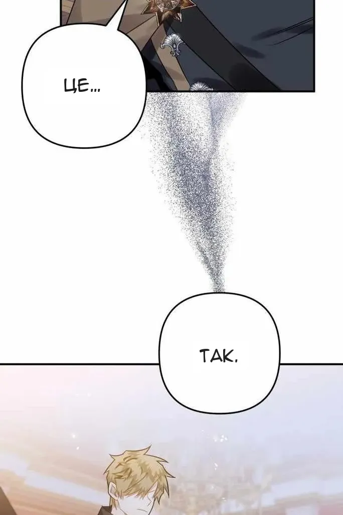 Сторінка 111