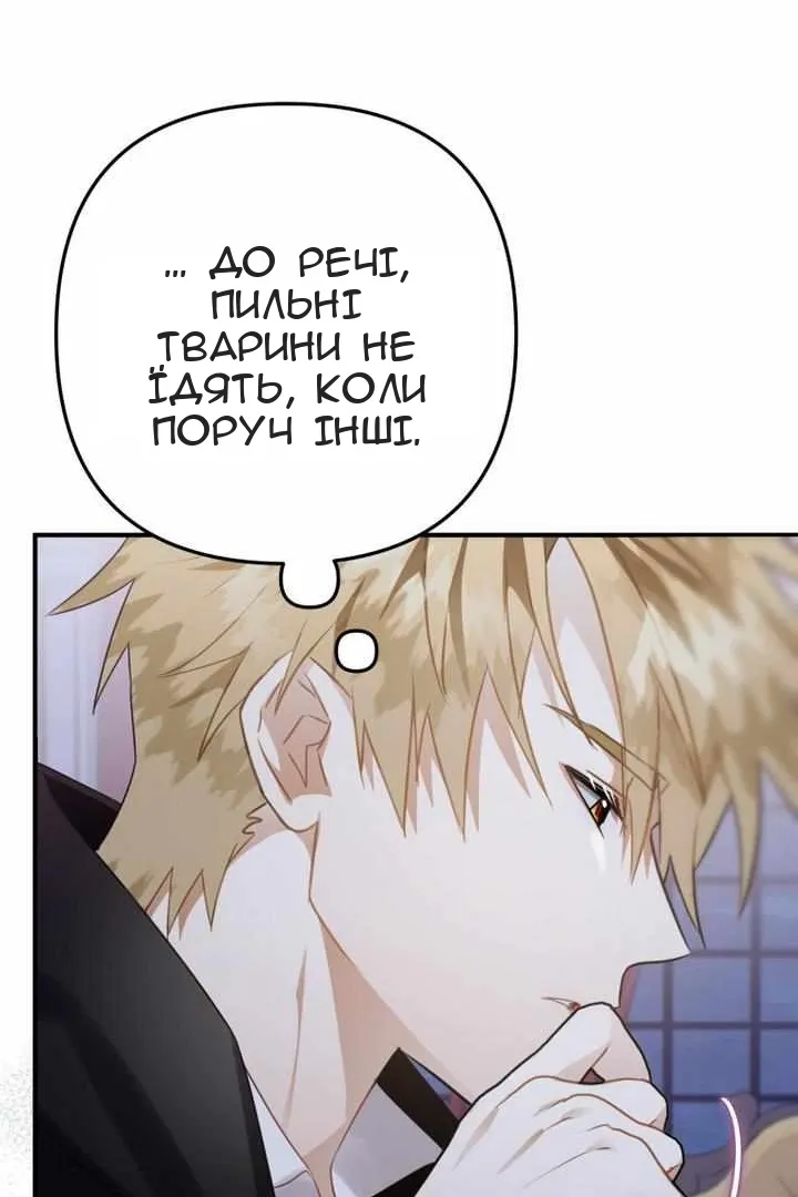 Сторінка 107