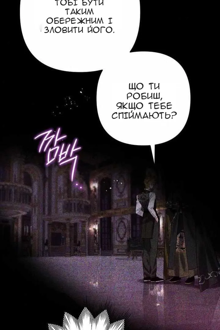 Сторінка 5