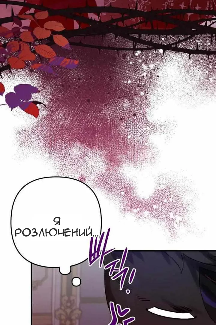 Сторінка 25