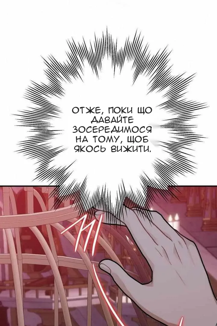 Сторінка 40