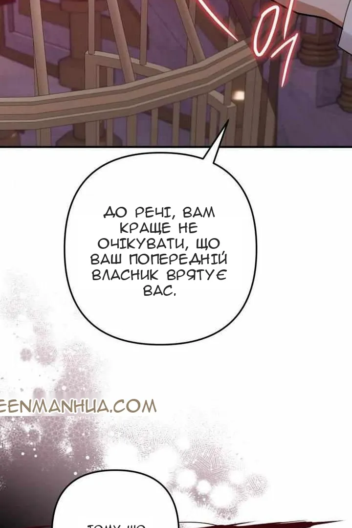 Сторінка 41