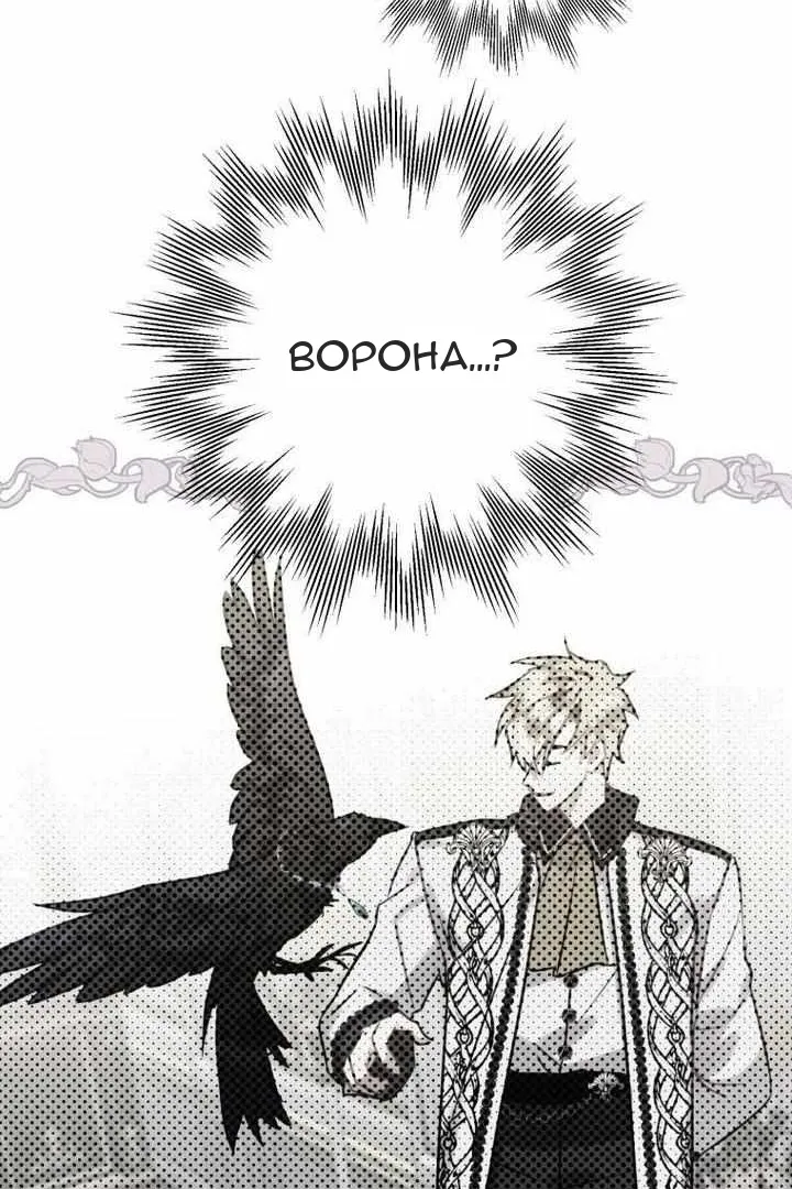 Сторінка 79